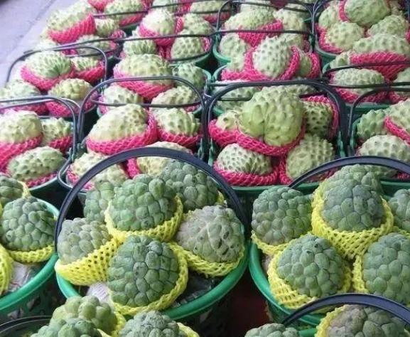 六月什么水果最有营养,6月适合吃的国产水果