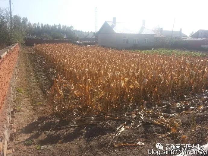 黑龙江冬季哪里的农家乐好,宝清农家乐