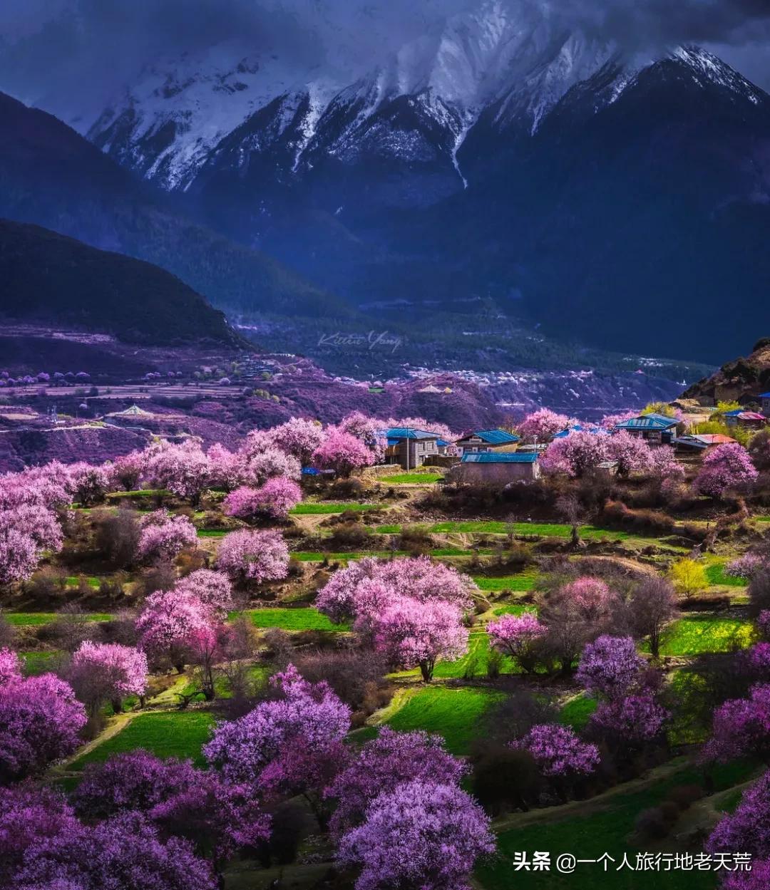 国家地理评选中国必去的50个地方,国家地理评出一生必去的30个地方