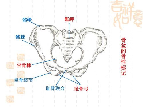 产后一个月耻骨分离能自愈吗,产后耻骨联合分离10mm能自愈吗