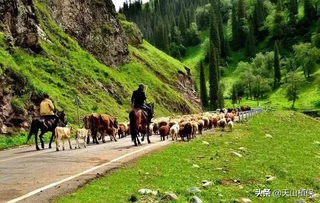 大美新疆百里画廊,北疆千里画廊打卡点