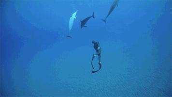 c罗潜水,c罗游泳视频大全集