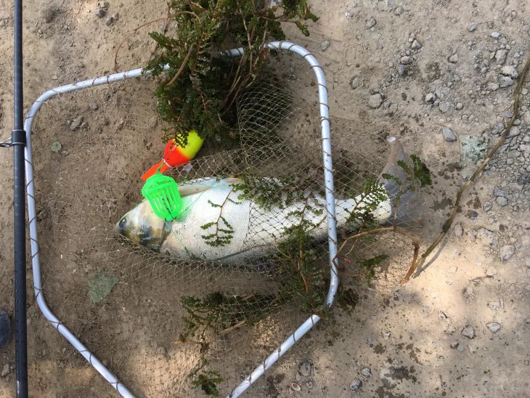 走进北京蟹岛垂钓园,北京蟹岛垂钓园介绍