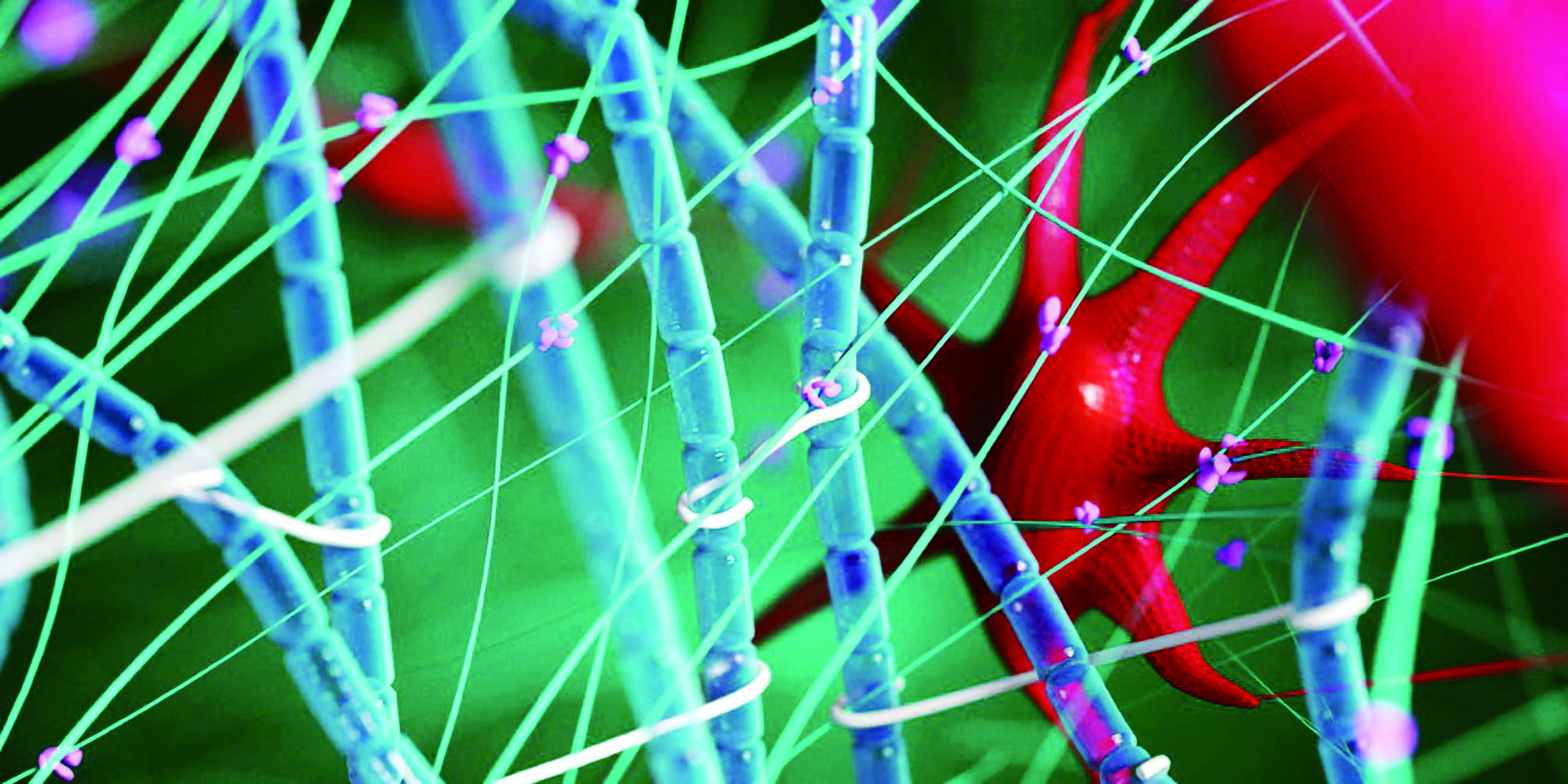 医用胶水缝合伤口多久能好,术后用胶水粘合的伤口多久会消失