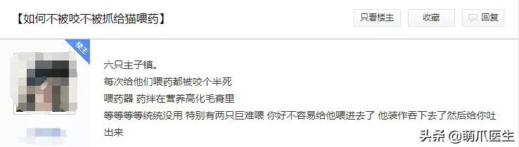 猫从来不出门要洗澡吗,猫从来不出门会感染绦虫嘛