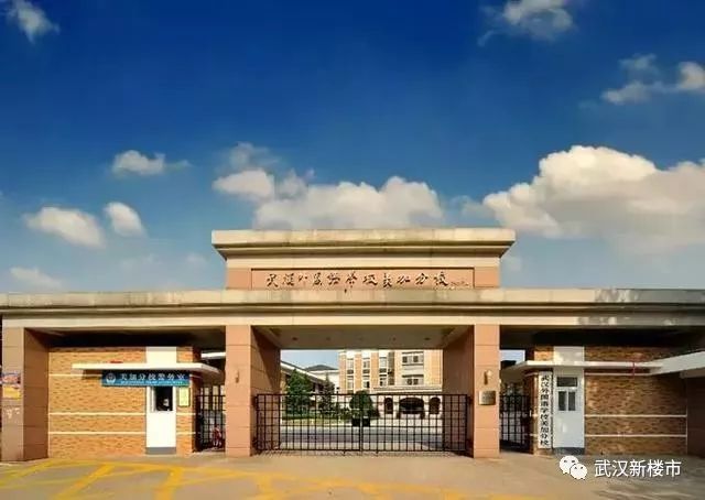 汉街幼儿园是武汉最贵的吗,武汉最贵的幼儿园多少钱啊