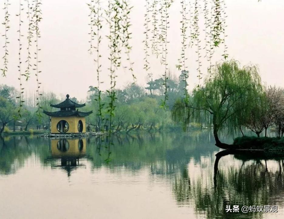 陈从周的园林作品有哪些,陈从周中国园林风格