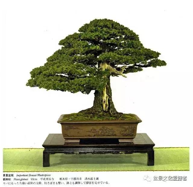 他山之石可以攻玉诗句,他山之石可以攻玉的作品