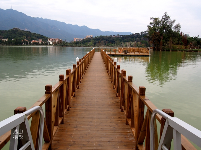 肇庆湿地公园美景图,肇庆星湖湿地生态旅游景区