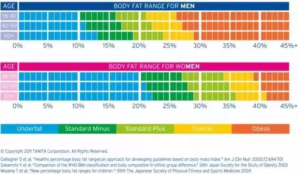 最好的体脂秤怎么看,判断胖瘦的技巧