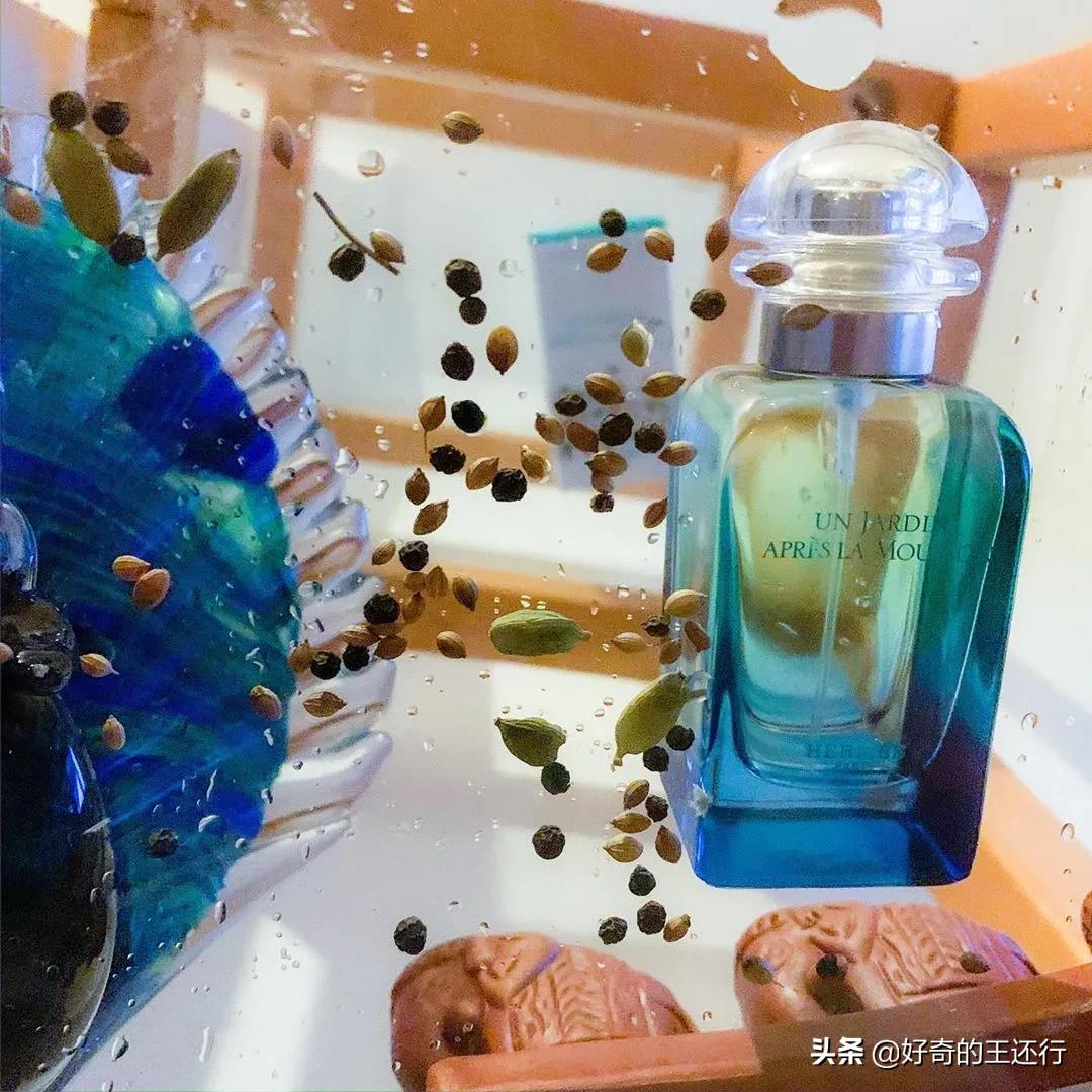 爱马仕雨后花园和印度花园,爱马仕印度雨季花园