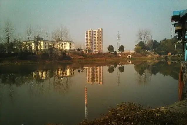 小龙虾亩产利润分析,小龙虾养殖技术一亩地多少利润