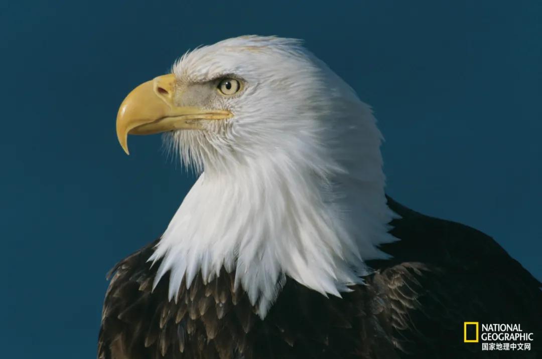 我们的地球很老了吗,地球还能再活几岁