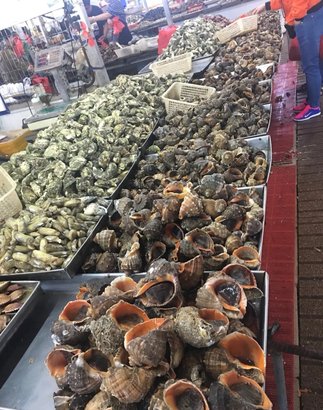 最新青岛海鲜批发市场价格,青岛最大的海鲜批发市场是哪一个