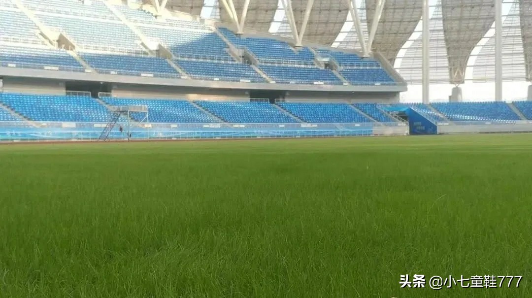 黄石奥体中心球场维护,黄石市奥体中心篮球训练馆