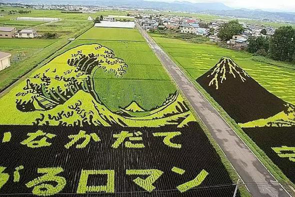 日本最成功的主题农场,日本农场十大排名