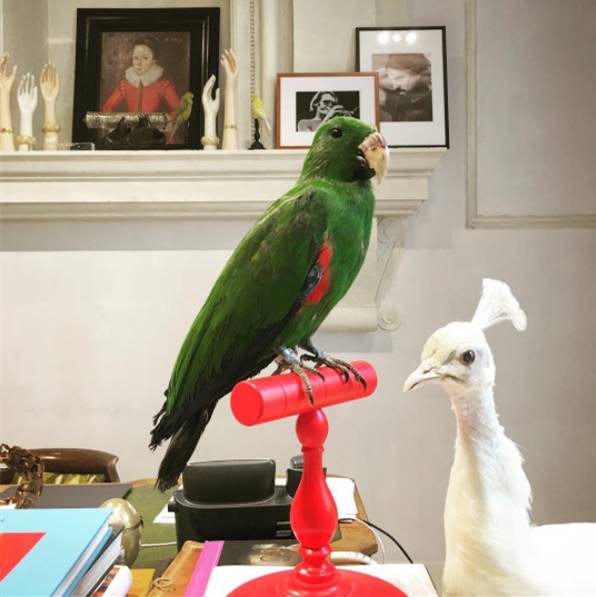 gucci为什么那么贵,gucci的包包为什么那么让人着迷