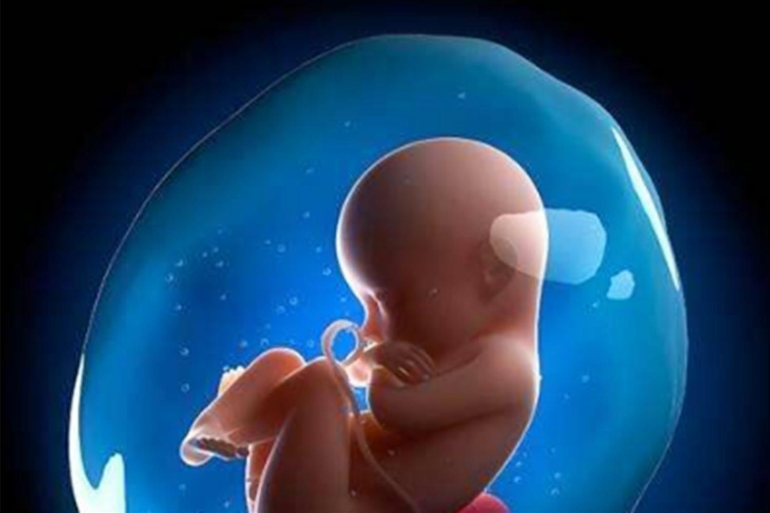 为什么说有人怀孕了羊水破了,羊水为什么叫羊水