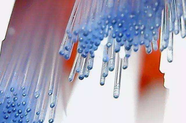 高伟光同款牙刷,高伟光牙刷介绍