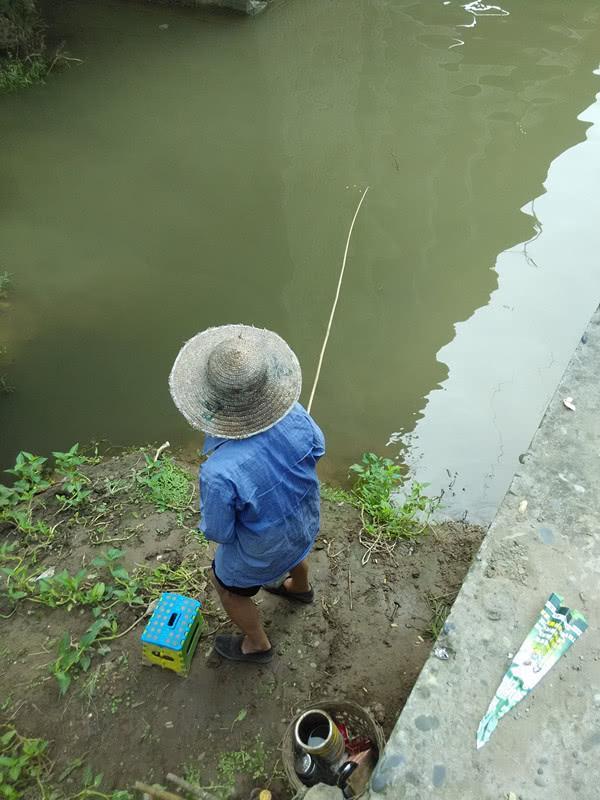野钓蓝鲫怎么选择,钓鲫鱼用野战蓝鲫还是老三样