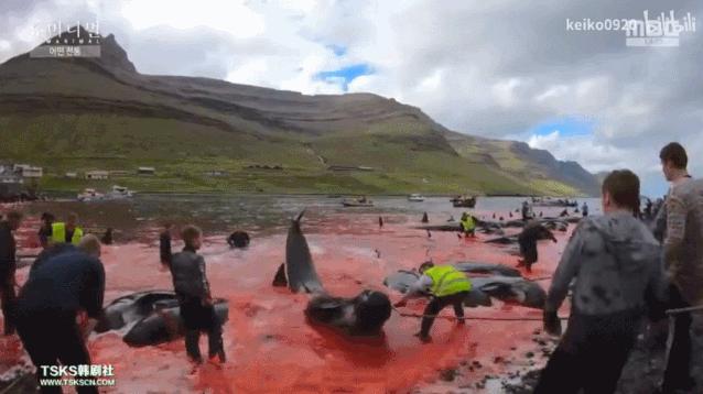 被已婚男欺骗致怀孕一尸两命,女孩儿被骗怀孕最后被杀害