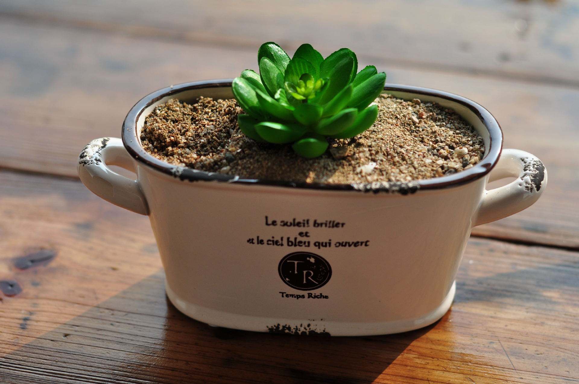 塑料花盆和陶瓷花盆哪个养花好,养花用什么材质的花盆最好