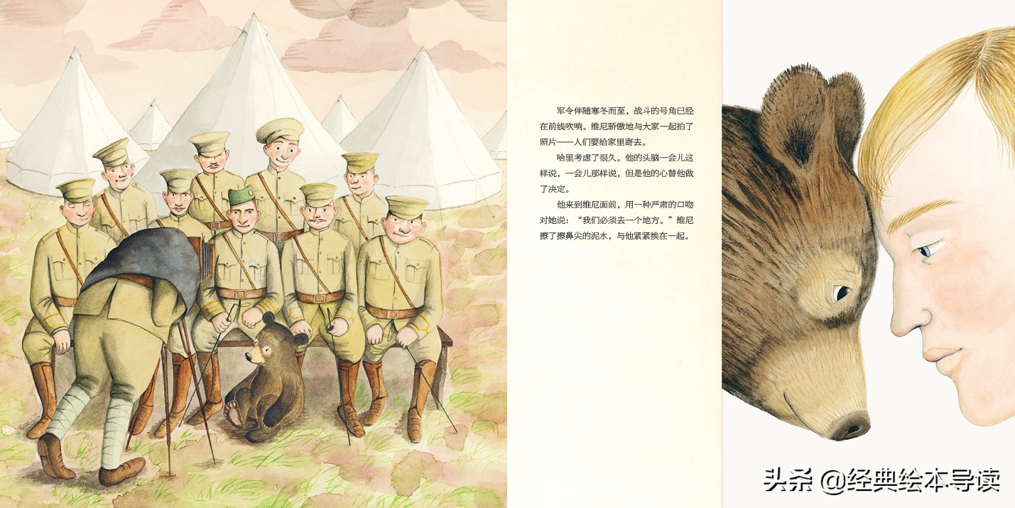 一只世界著名小熊的真实故事——《寻找维尼》导读