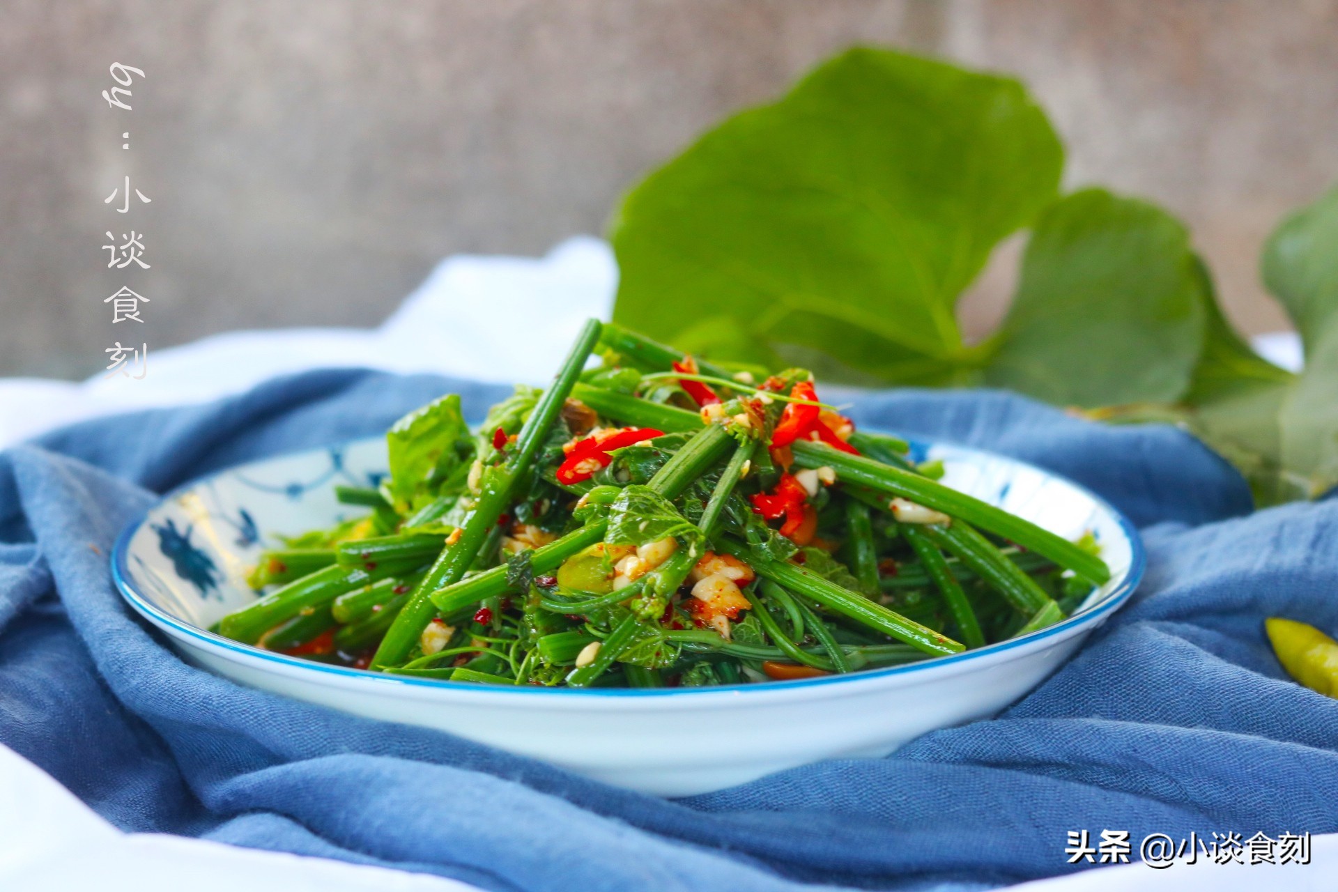 凉拌什么苗好吃又营养呢,什么菜苗可以凉拌好吃