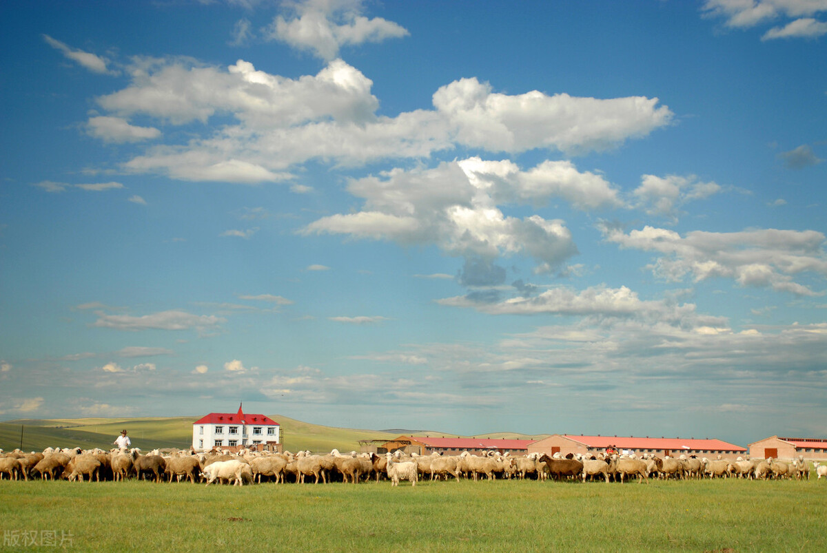 深度穿越呼伦贝尔大草原路线,呼伦贝尔穿越之旅视频