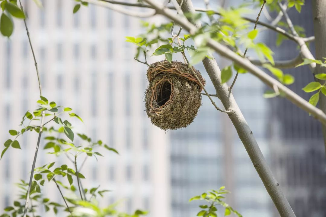 cbd白领生活,北京cbd白领下班回家