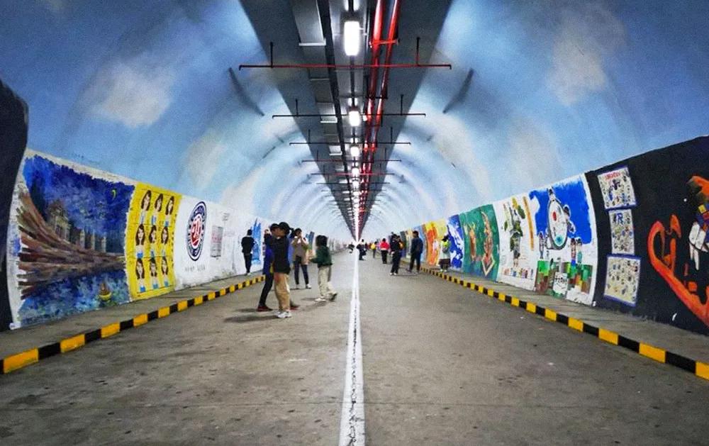 厦门大学宠学生,厦门大学宠学生吗