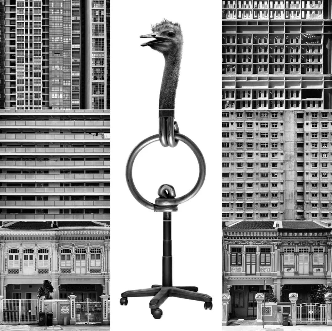 晒一晒九宫格图片,怎么晒九宫格