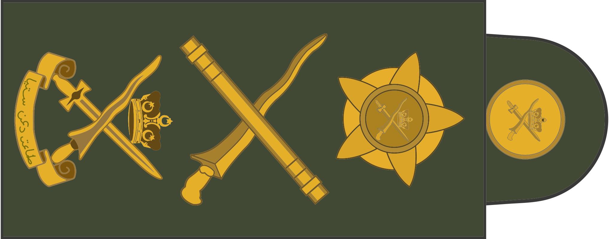 民国国军军装军衔标识,马来西亚军队军衔图集