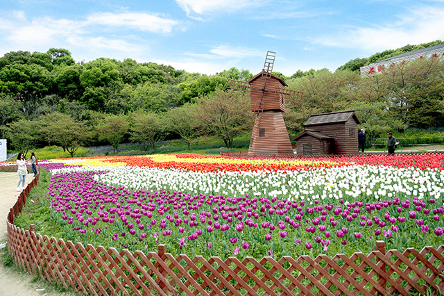 劳动节苏州旅游必去景点排名,苏州五一游景点