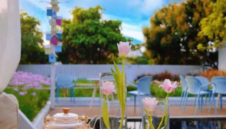 深圳海边网红打卡民宿,海边民宿网红打卡地