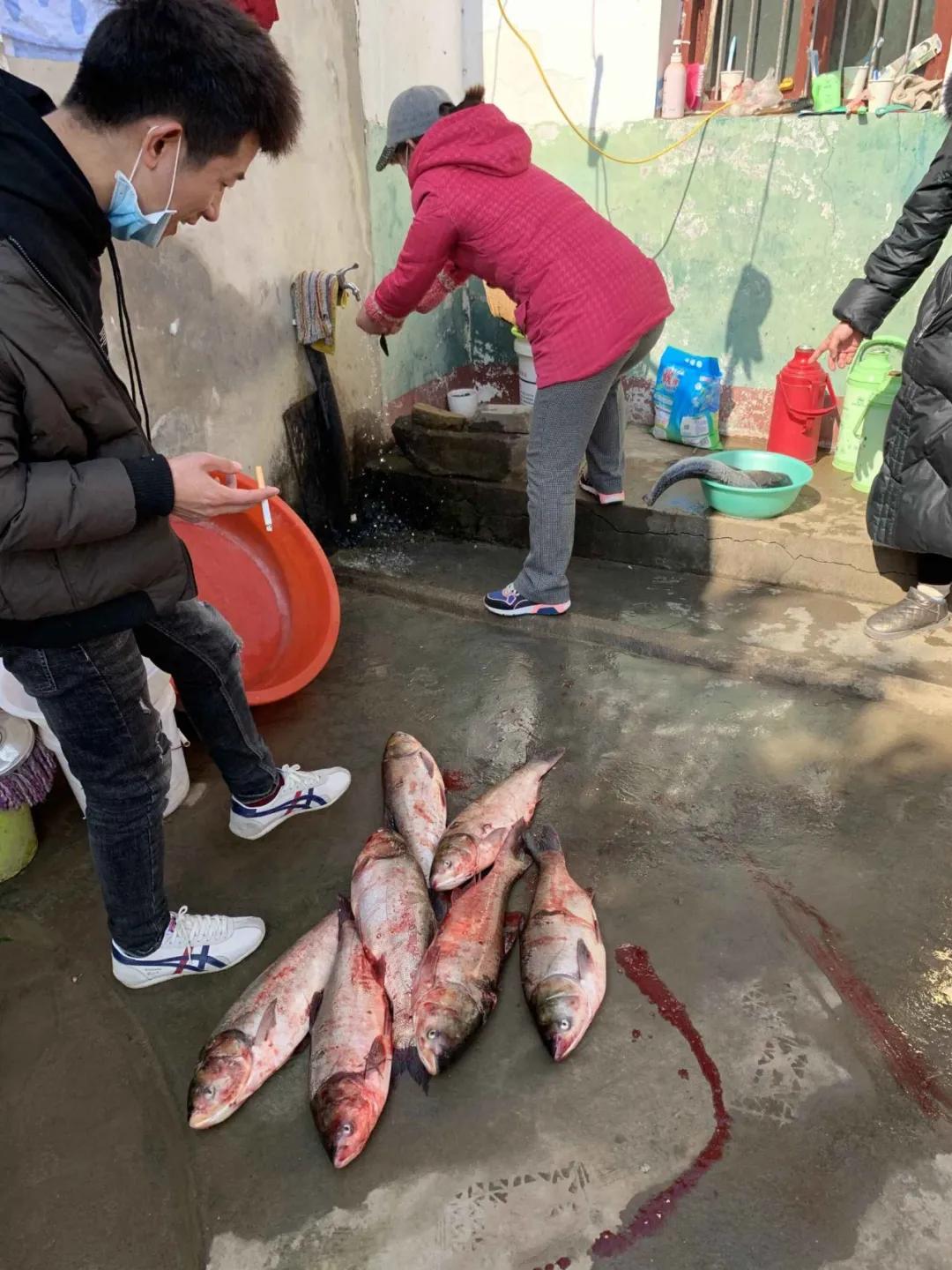 18口人每天吃掉40只鸡,18个人滞留老家