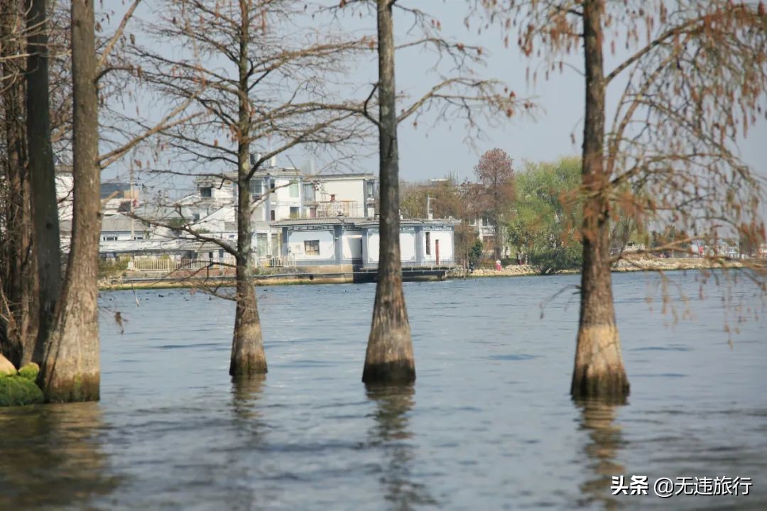 大理磻溪s弯网红打卡,大理洱海磻溪村s弯网红打卡地