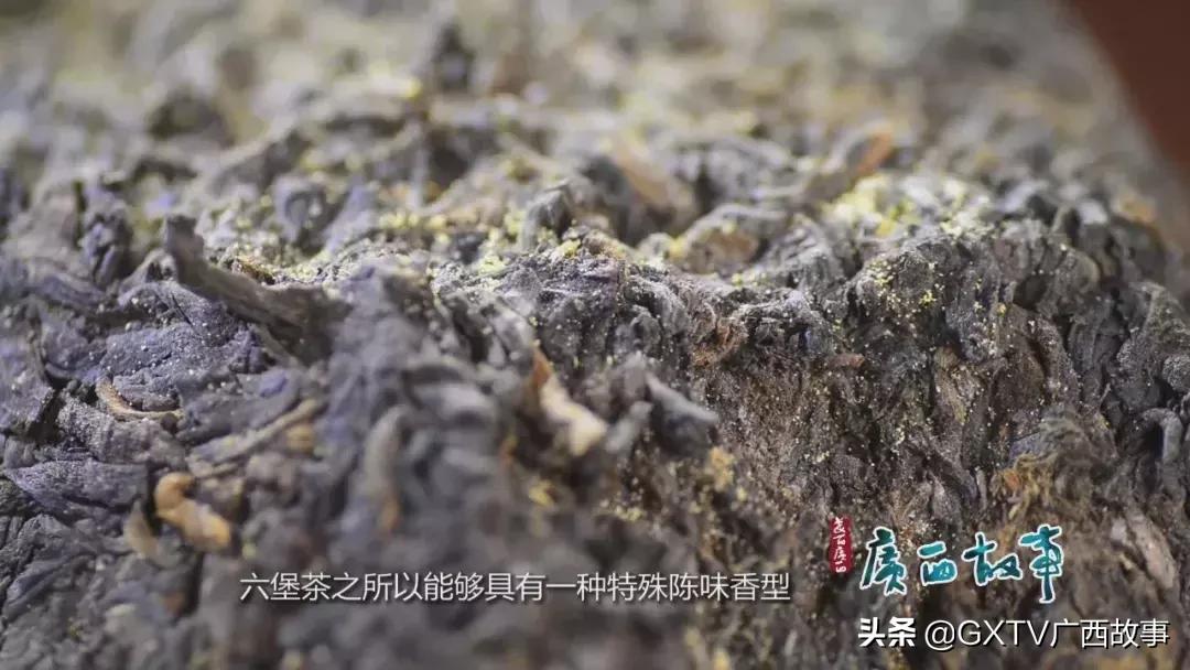 当年下南洋的广西、广东劳工，靠这茶水顶住了艰苦恶劣的环境！