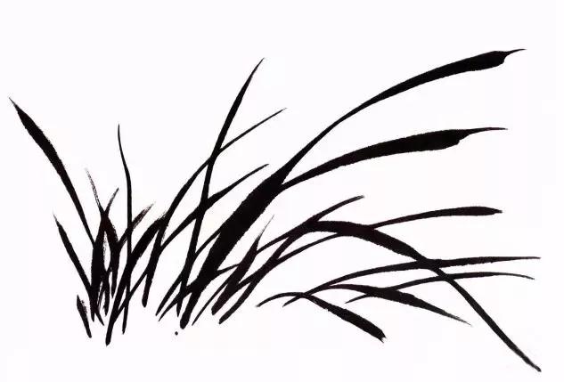 兰花绘画技法教程视频,泰国兰花绘画技法