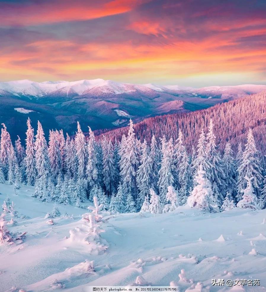 岁月太浅，人心太深，所以习惯孤独，爱上了寂寞