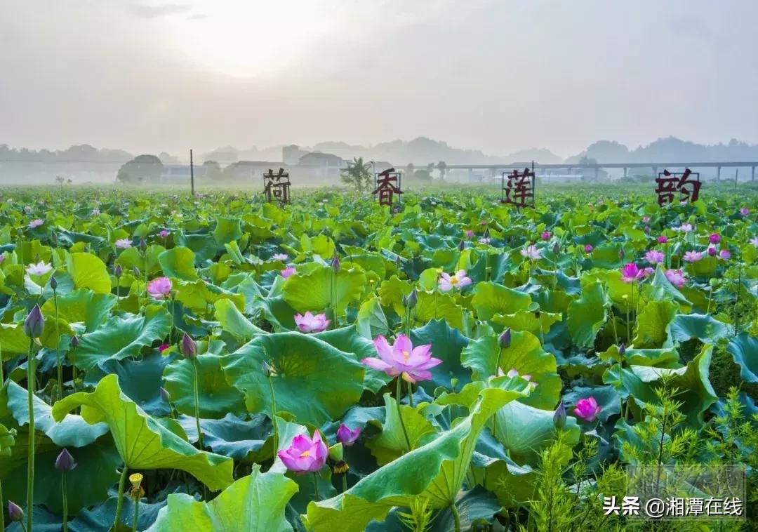 鎺ㄨ繘浜т笟鎵惰传,浜т笟鎵惰传閾哄氨鑷村瘜涔嬭矾
