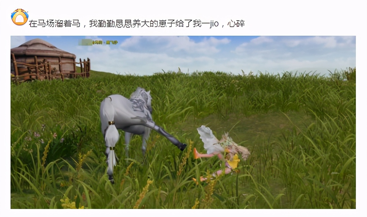 谈恋爱不如养马？当天策玩家有了小马驹，爱情就来了