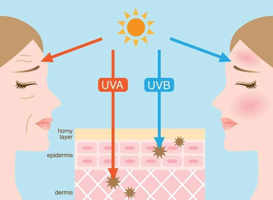 防晒霜夏天必备,防晒霜夏天还需要用吗