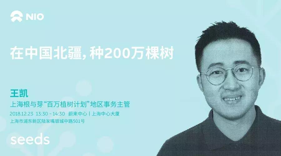 seeds丨走，去中国北疆种一棵圣诞树！