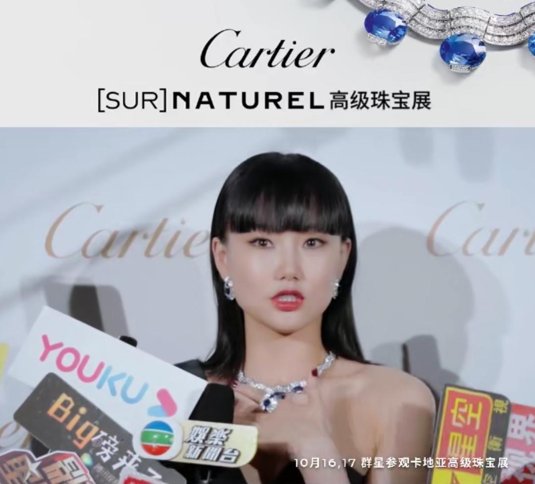 卡地亚项链钻石项链直播,卡地亚项链正品直播