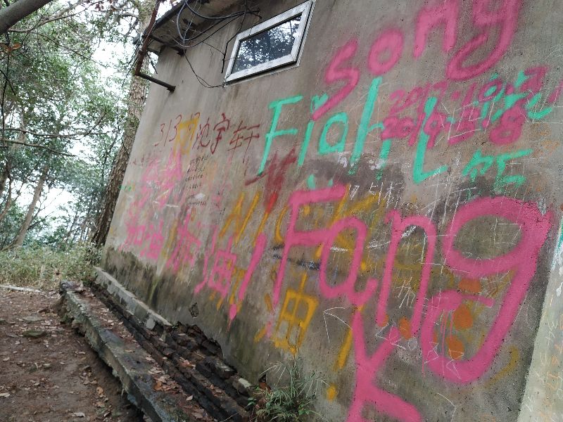 杭州市周末自驾游去哪里好玩,杭州出发周末旅游攻略