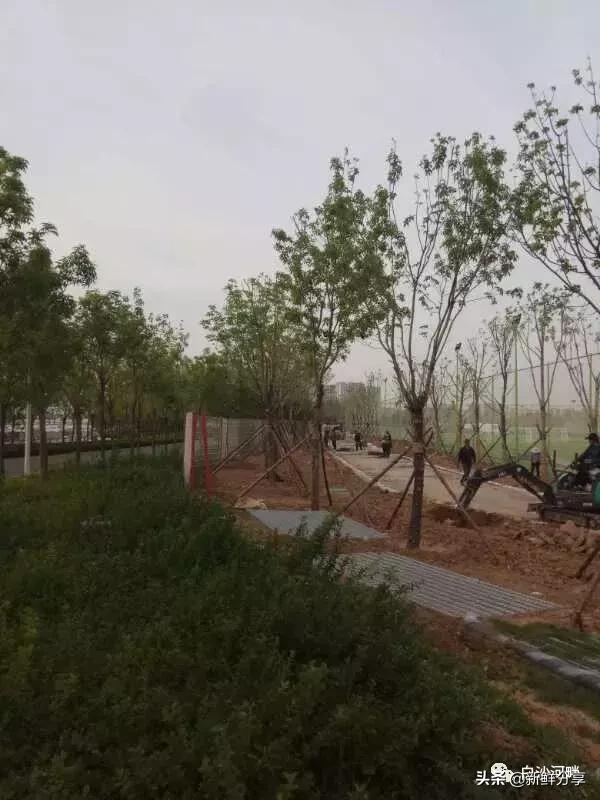 白沙湾足球基地开幕式,白沙湾足球锦标赛