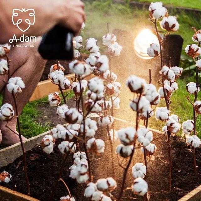 520女性最爱买的好物,520示爱好物推荐