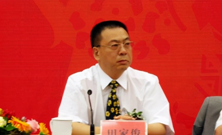 金立手机哪年破产,金立手机债务累累吗