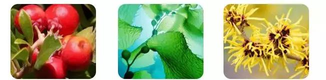 新西兰水光面膜,新西兰8分钟面膜三种颜色的功效